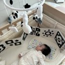 (내돈내산) 이레아이맘 산후도우미 후기