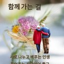 흥룡초교 Daum카페