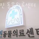 상암 진 동물의료센터 이미지