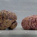 미가람여성한의원 네이버블로그