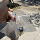 빽다방전주하가점
