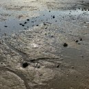 한들주유소 이미지