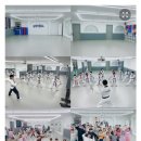 진향태권도장 이미지