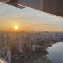 지에스25 행궁신풍로 | 1월 사진 일기 🎞️📸 | 러쉬세일 | 이사 | 핫쵸 | 화성행궁1027 | 명성돼지갈비 | 옥돌해세꼬시 | 마켓틸다...