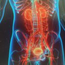 세동반점 이미지