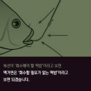 알아둘수록 유식해지는 상식모음 Part.2 이미지