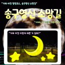 약우물터 | “ 밤에 가면 더 예쁘다!! 거제 <송구영신 소망길> 야간 산책 리얼 후기✨”