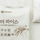 골든라이스