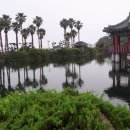 서귀포KAL호텔 이미지