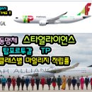 탑얼라이언스 이미지