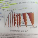 확산연소의 자유분류확산화염의 길이와 형상 그래프 질문 이미지