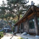 〔보령시〕 한옥마을(2) - 죽도 상화원(尙和園)