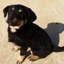 현순농장 이미지