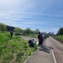 명품행정사사무소 | 승기천의 숨통을 틔우다: 자원봉사대학 환경 정화 현장 체험기