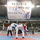 승리태권도체육관 이미지