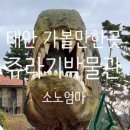 태안 라벨르키즈풀빌라 네이버블로그