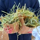 매형목장 이미지