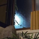 직 통 (옥내1) | 유후인 1인 료칸 추천 산소 타나카 내돈내산 후기