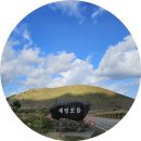 복하천 갈대멋짐길 | 제주 오름 서쪽 새별오름 주차장 억새 입장료 정상 등반 후기. 금오름 차이는?