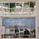 웰니스펫뷰티 이미지