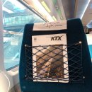 (주)그라비티게임즈 | 부산출장 지스타 2022 후기