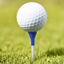 (주)나이스트리 이미지