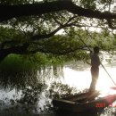 우포의 숲속 이미지