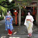 일본어 회화(기초) 이미지