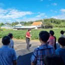 금굴농장 이미지