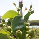 지우네 농장 이미지