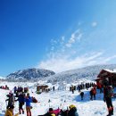 제주도 한라산(1,950m) 눈꽃산행 2014년 1월 4일(토) ~ 5일(일) 이미지