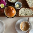 카페다르마 이미지