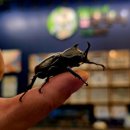 수암농장1 이미지