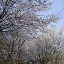 (주)늘푸른한국농수산 | 여름이 오기 전 나의 봄은