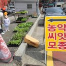 장유농약종묘사 이미지