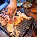 돈육몽