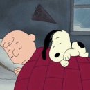 연세미여성의원 이미지