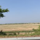 궁평항로 이미지