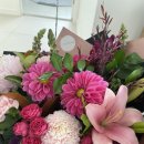 노아약국 이미지