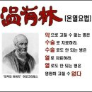 뉴비스 이미지