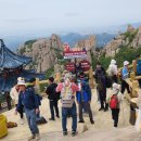 노산,명월 산해간 불야성(5월5일) 이미지