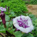 호생농장 이미지