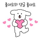 펫잇보리 이미지