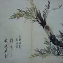 명선화원