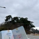 강릉문화의집 | 국가유산방문캠페인 강릉편[관동 풍류의 길 | 경포대, 선교장, 오죽헌]