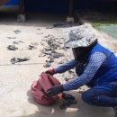 영광어린이집 이미지