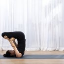 반다요가 이미지