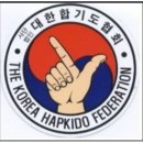 대한무술체육관합기도척추교정운동원 | 특공무술. 합기도 척추교정
