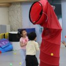 경희대석사 태권도 | 토요일 학년별 모여라 - 호계동 태권도 경희대석사 삼일태권도장