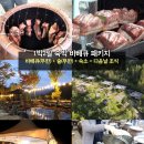 맑은숲캠프 양평 왜 인기 폭발? 무한리필 바베큐 주류 찜질방까지 한 번에